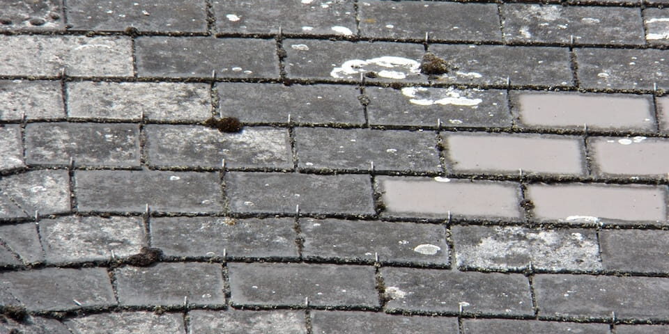 asbestos in my home