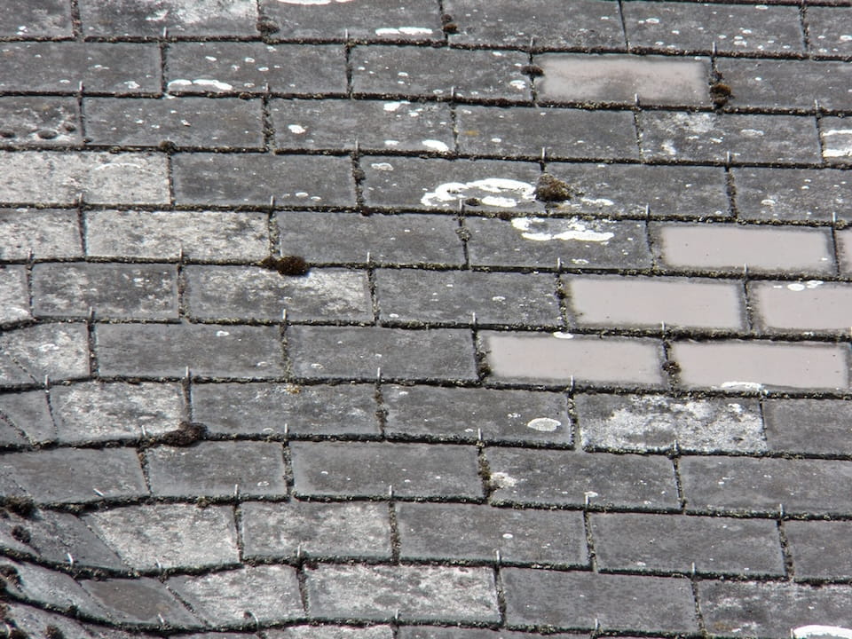 asbestos in my home