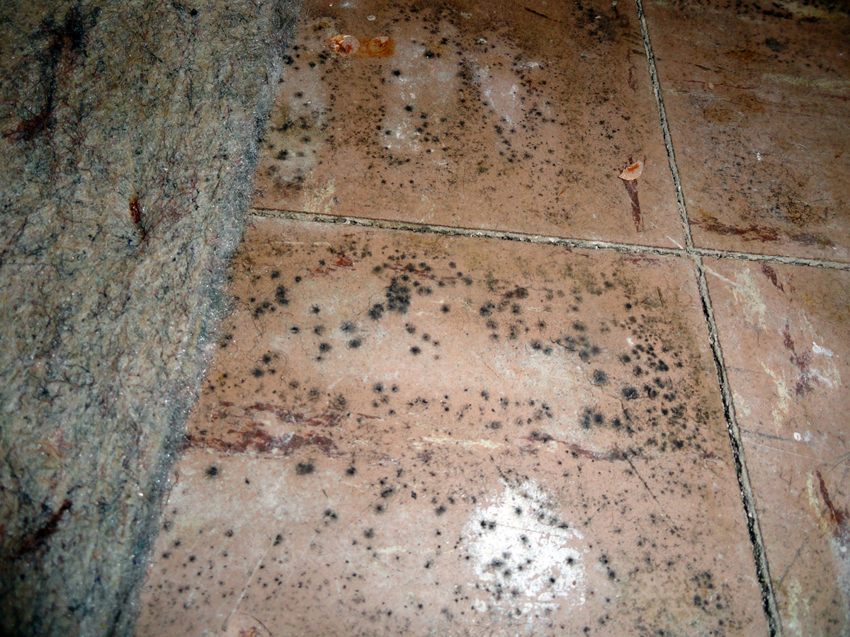 General Tile Conditions 1